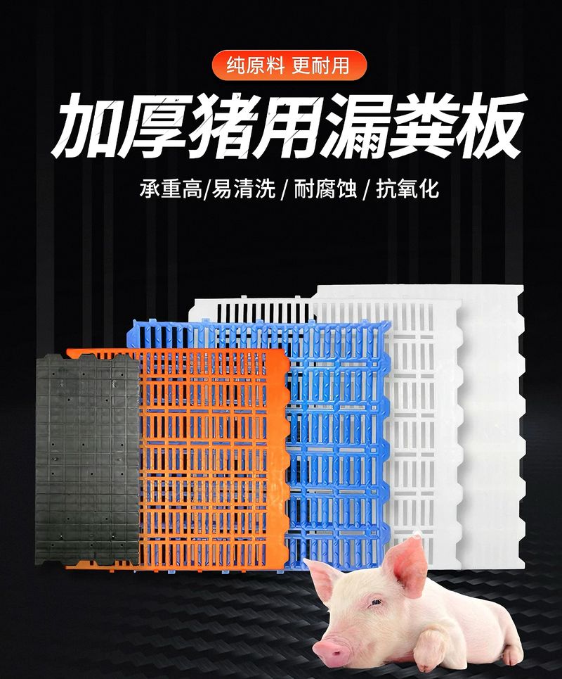 微信圖片_20250317135054