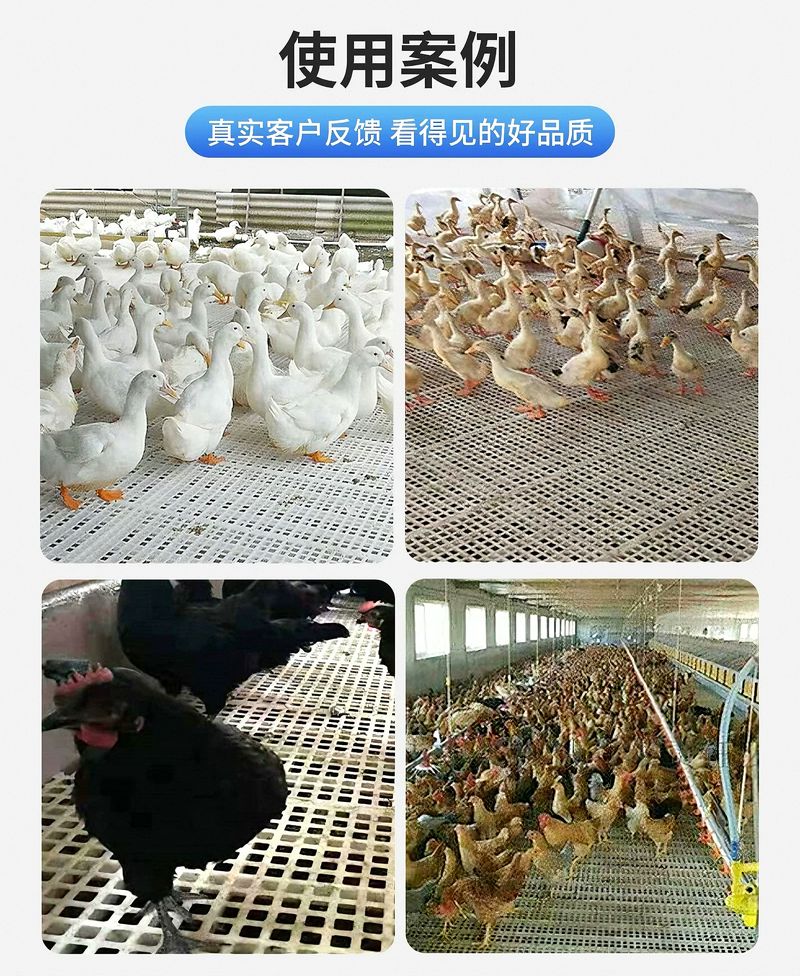 微信圖片_202503171351201