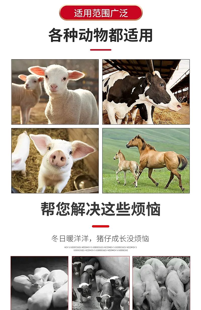 微信圖片_20250320144219