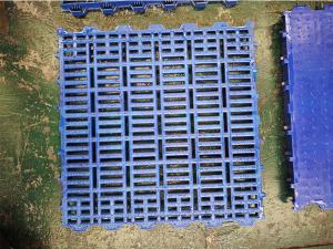 60x60 藍(lán)色 豬用塑料板 孔徑1.1厘米