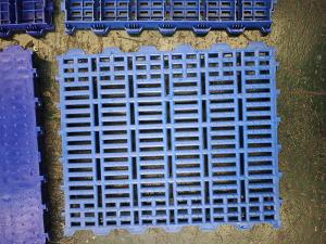 50x60 藍(lán)色 豬用塑料板 孔徑1.1厘米